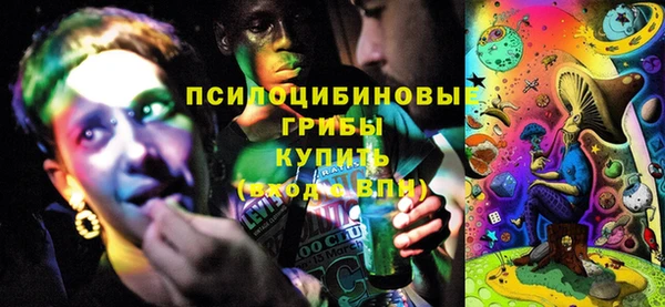 амф Зерноград