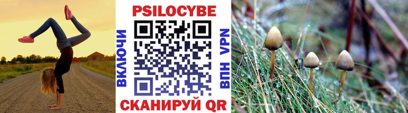 Галлюциногенные грибы Psilocybe Райчихинск