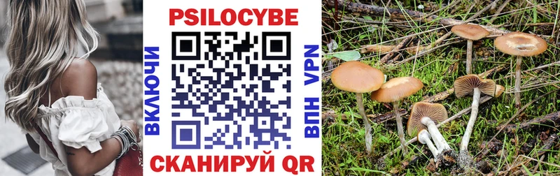Галлюциногенные грибы MAGIC MUSHROOMS  Купить где  Райчихинск 
